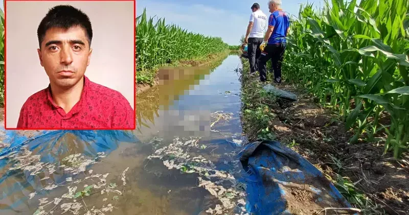 Sulama için tarlaya gitti, cesedi bulundu