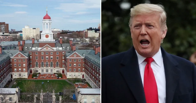 Filistin e desteği nedeniyle Harvard ı hedefine alan Trump a yargı freni Dünya Haberleri