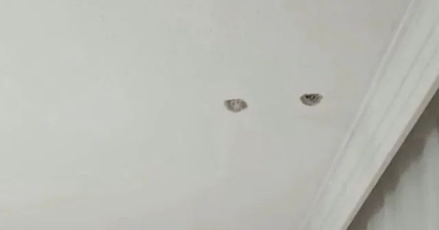 Aile kavgası binaya zarar verdi: Kardeşinin tavanına delik açtı VİDEO İZLE