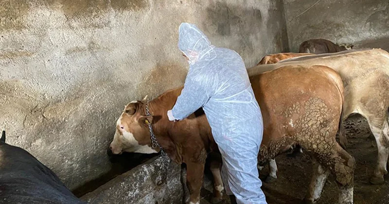9 köy ve 1 belde karantinaya alındı!