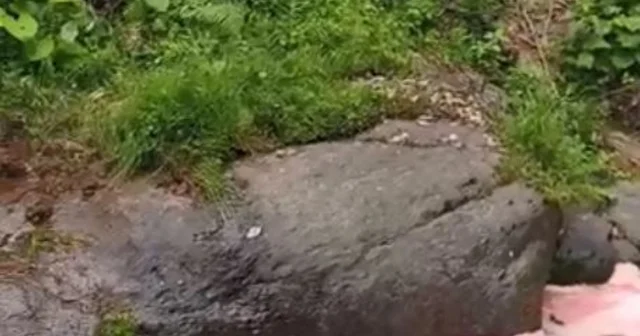 Rize de rengi kırmızıya dönen derede inceleme Rize Haberleri