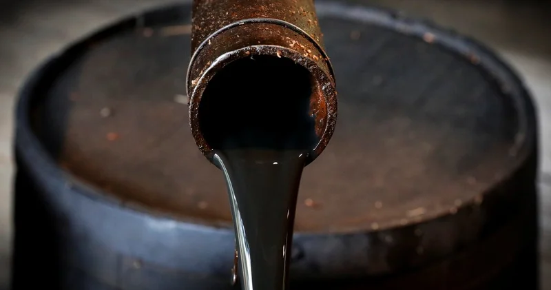 Adana, Osmaniye ve Hatay’da petrol arama ruhsatı Enerji Haberleri