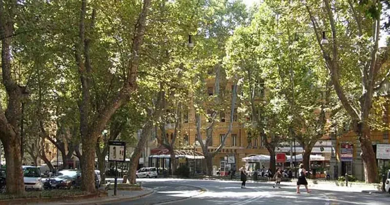 Roma’da Alman turist, tarihi eseri skuterle taşırken yakalandı