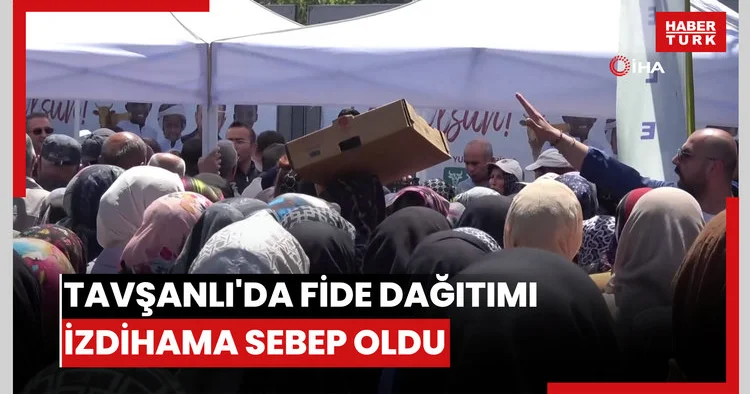 Tavşanlı da fide dağıtımı izdihama sebep oldu