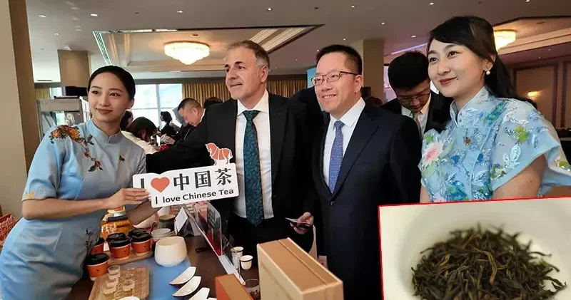 Fujian çayı İstanbul’da tanıtıldı