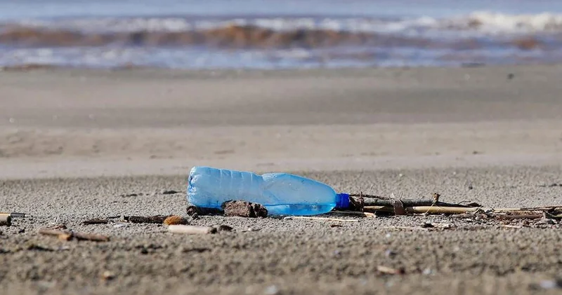 Canlı türleri yok oluyor, plastik atık sorunu büyüyor