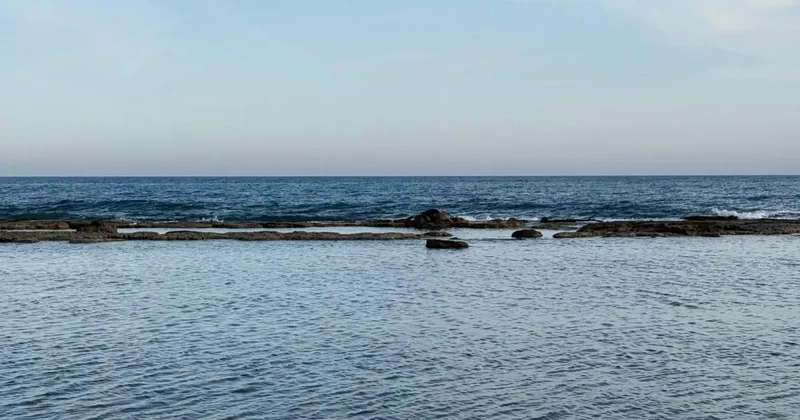 Antalya da denizin ortasındaki inek leşi görenleri şoke etti