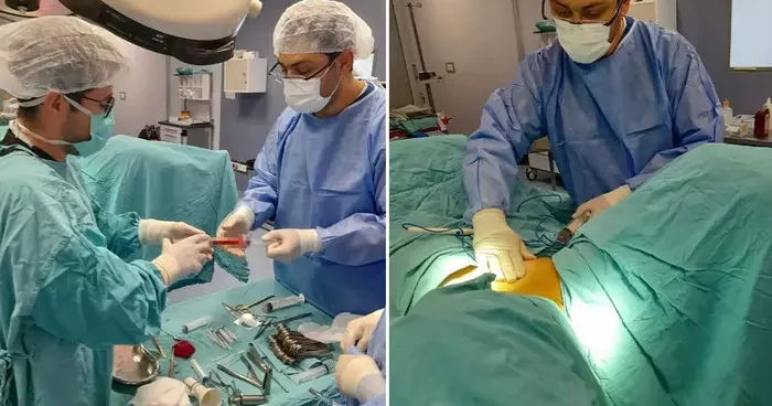 Organ naklinde devrim yaratacak bilimsel araştırma: Anne karnındaki sıvı ile organlar hayata dönüyor!