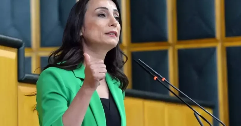 DEM Partili Hatimoğulları şart koştu: Demokratik topluma giden yol buradan geçer