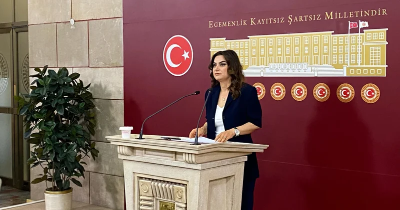 DEM Parti li Koçyiğit: Kurtulmuş un komisyon için yaptığı davetten memnuniyet duyuyoruz