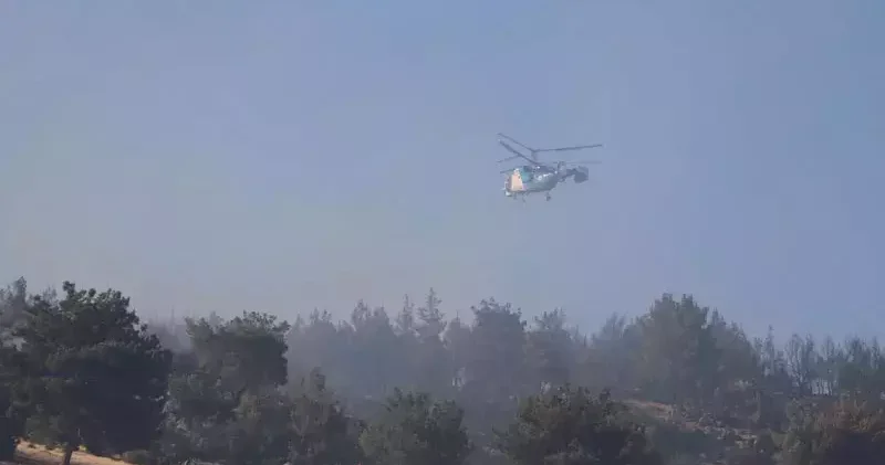 Manisa daki orman yangını 2 nci gününde