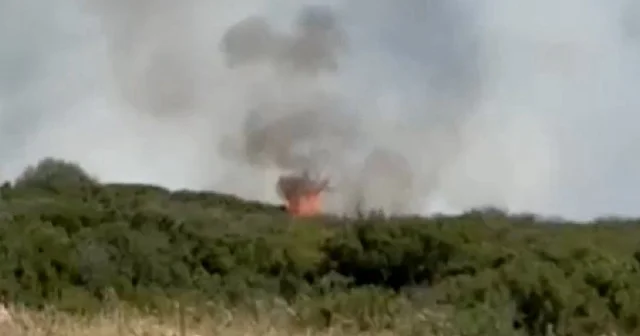 Aydın’da makilik alanda yangın: Havadan ve karadan müdahale ediliyor VİDEO İZLE
