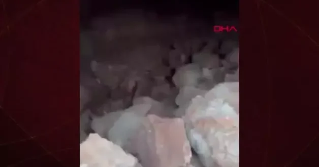Kahramanmaraş ta Roma dönemine ait 1500 yıllık kaya mezarı bulundu