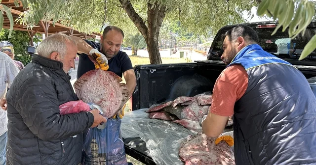 Sinop ta kaçak avlanan 1611 kalkan balığı ele geçirildi Sinop Haberleri