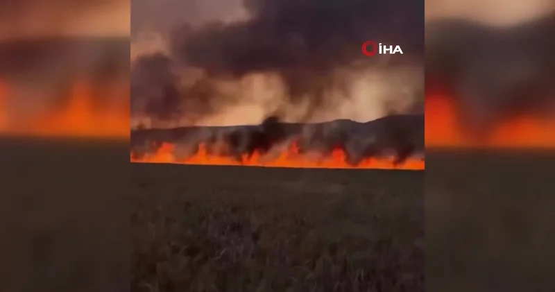 Diyarbakır’da buğday tarlasında anız yangını