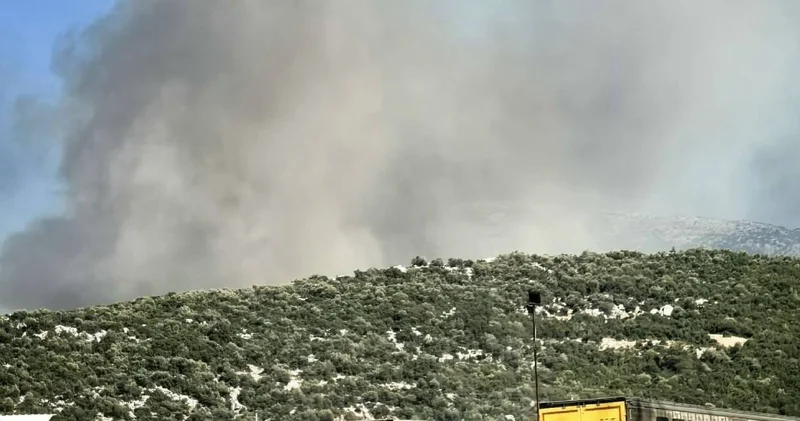 Bir orman yangını haberi de Manisa dan