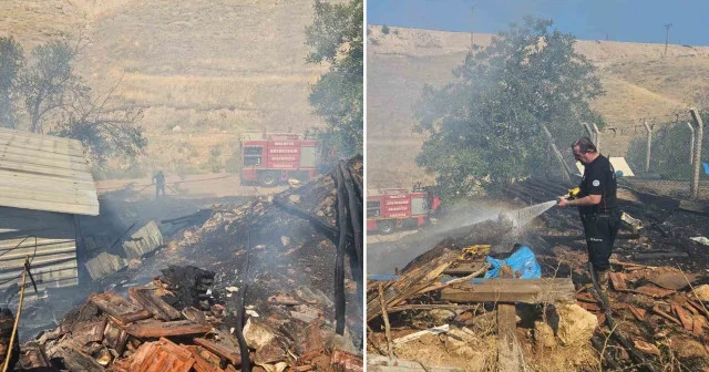 Akçadağ’da odunluk yangını korkuttu: Yerleşim alanına sıçramadan söndürüldü Malatya Haberleri