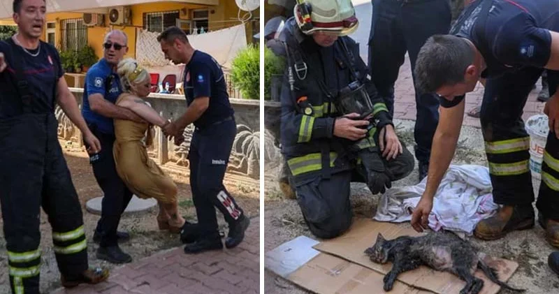 Yangında dumandan etkilenen kediye itfaiye ekipleri müdahale etti, sahibi gözyaşlarına boğuldu