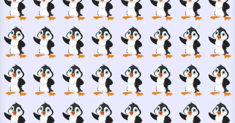 Herkes deniyor ama kimse bulamıyor! Resimdeki farklı pengueni 6 saniyede görmek için en az 130 IQ gerekiyor