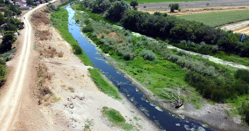 Tunca Nehri can çekişiyor, çeltik üreticisi tedirgin
