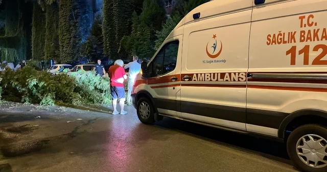 Seyir halindeyken üzerine ağaç dalları düşen motosikletli yaralandı Aydın Haberleri