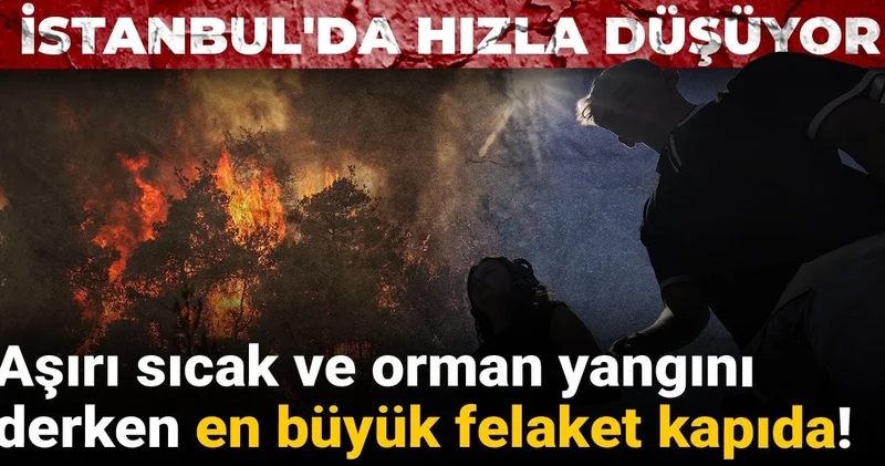 Aşırı sıcak ve orman yangını derken en büyük felaket kapıda! İstanbul da hızla düşüyor