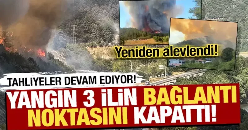 Orman yangınlarında son durum ne? İşte son gelişmeler...