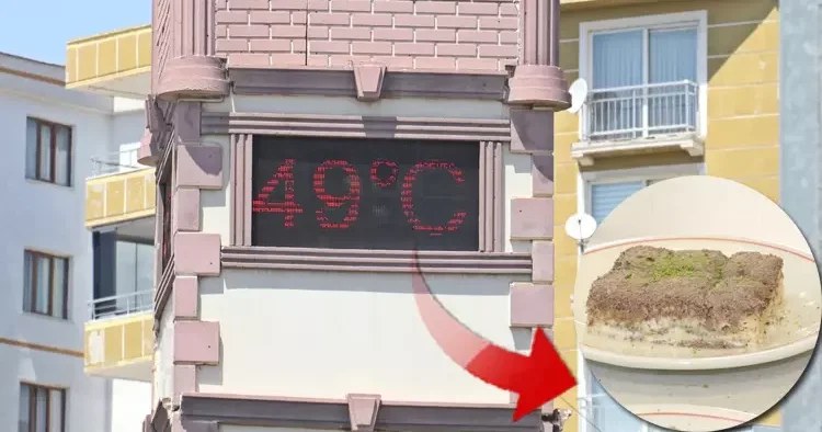 Kentte öğle saatlerinde hayat durdu! Hava sıcaklığı 49 dereceye çıktı Vatandaş sıcaktan korunmanın yolunu buldu