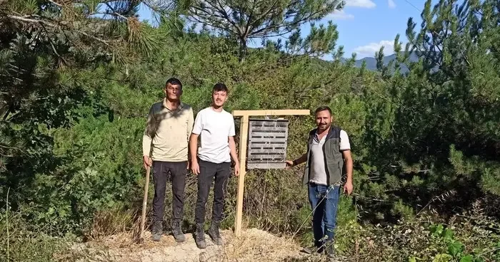 Bolu’da yanan ormanlık alanlara feromon tuzakları asıldı