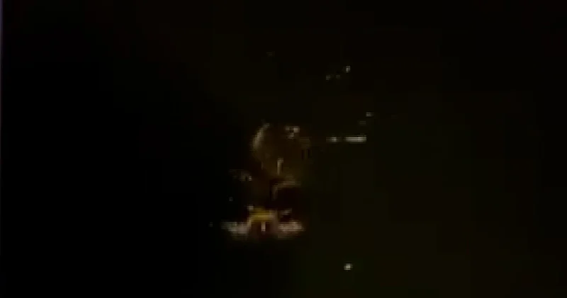 Büyükçekmece Sahili nde kayıtlara geçti, heyecan yarattı!