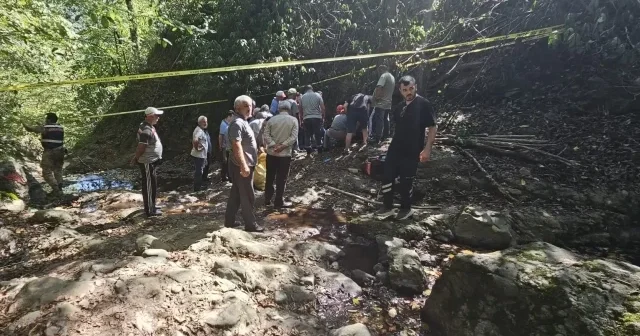 Ordu da feci ölüm: Fındık toplarken yamaçtan düşen yaşamını yitirdi Ordu Haberleri