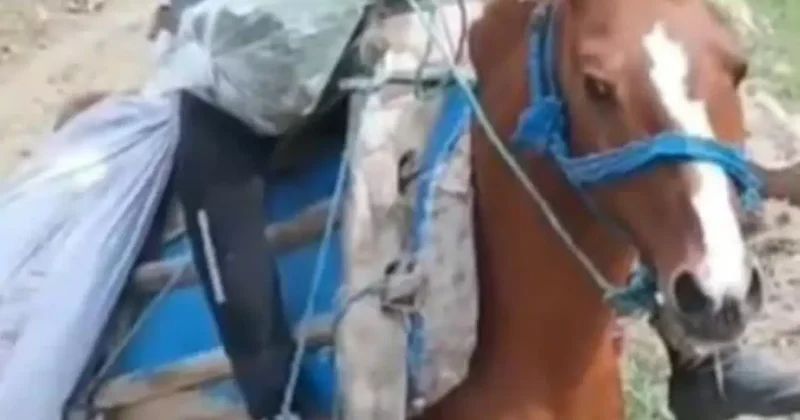 14 yaşındaki çocuğun acı ölümü: Av tüfeğiyle oynuyordu!