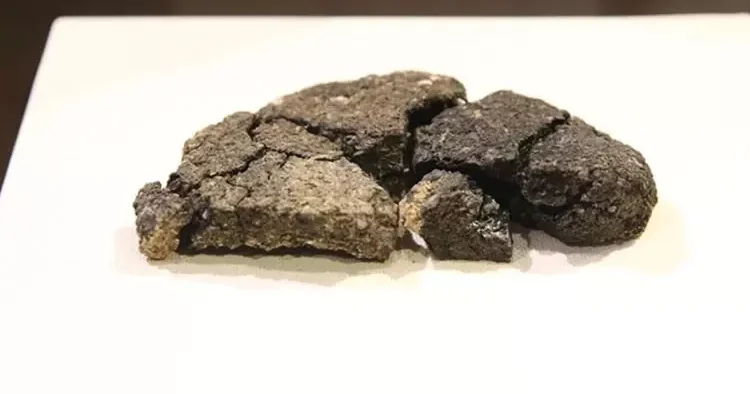 5 bin yıllık ekmeğin izinde