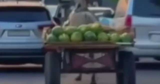 Şam’da kontrolden çıkan at arabası trafiği altüst etti VİDEO İZLE