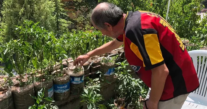 Eskişehirli esnaftan örnek davranış: İş yerinin balkonunu sebze bahçesine çevirdi