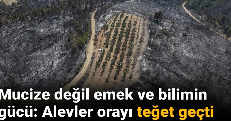 Mucize değil emek ve bilimin gücü: Alevler orayı teğet geçti