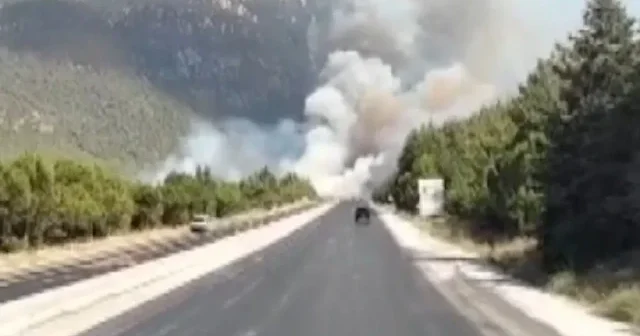 Denizli de yerleşim yerine yakın noktada orman yangını: Havadan ve karadan müdahale başladı VİDEO İZLE