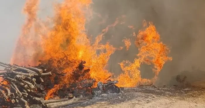 Malatya’nın Doğanyol ilçesinde orman yangını