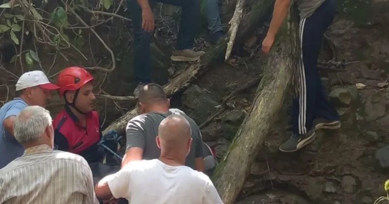 Ordu da fındık toplarken uçurumdan yuvarlanan adam can verdi Sözcü Gazetesi