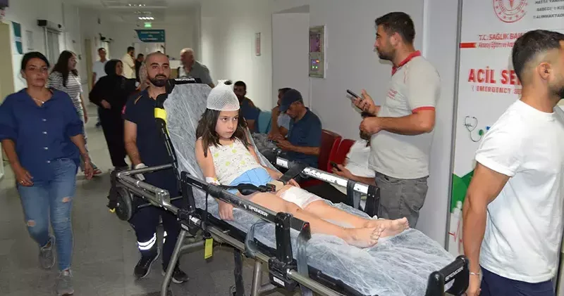 Düğüne giden çocuğu köpek ısırdı
