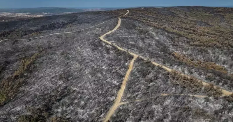 Çanakkale de yangının boyutu gün ağarınca ortaya çıktı
