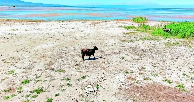 Beyşehir Gölü’nü kurtarma planı Aktüel Haberleri