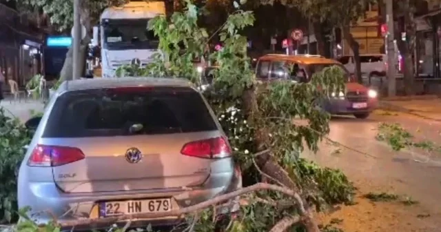 Edirne de devrilen ağaç otomobillere zarar verdi VİDEO İZLE