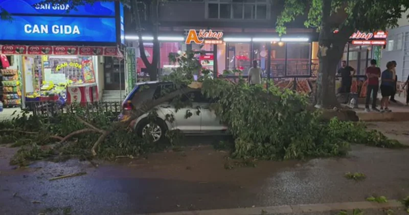 Edirne de ağaç otomobil ve minibüsün üzerine devrildi Sözcü Gazetesi