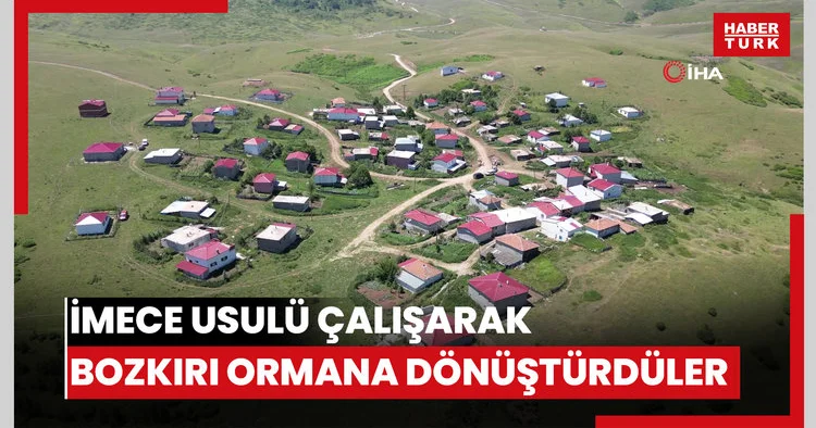 Yayla sakinleri imece usulü çalışarak bozkırı ormana dönüştürdü
