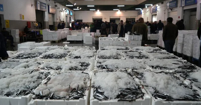 Kasalar dolusu balık kapış kapış satıldı