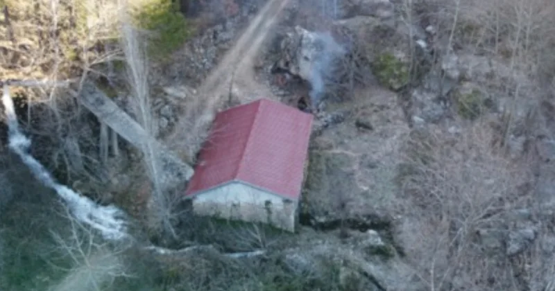 Canavar 200 yıl sonra geri döndü: Köylü ormandan çuvalla un taşıyor Sözcü Gazetesi