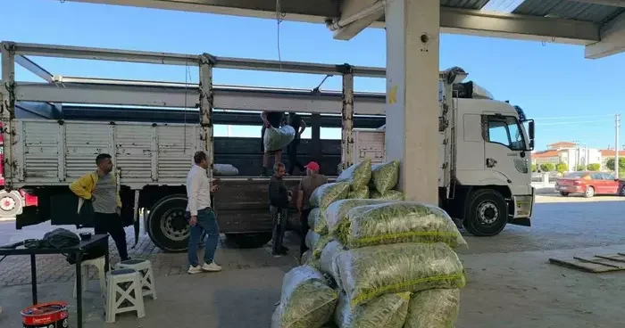 Fasulye pazarında yüzler güldü