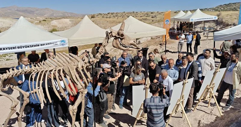 7,7 milyon yıllık kazılarda gelişme: Dünyada sayılı buluşlardan