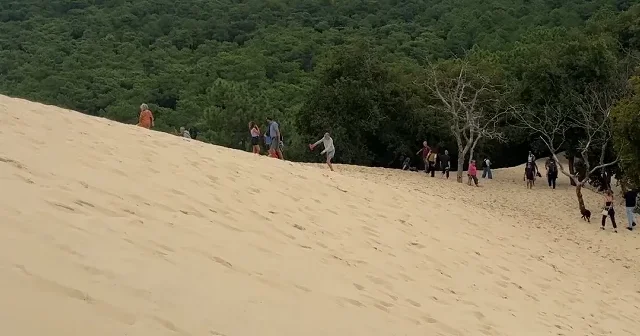 Avrupa nın zirvesindeki kumul: Dune du Pilat her yıl milyonları ağırlıyor VİDEO İZLE
